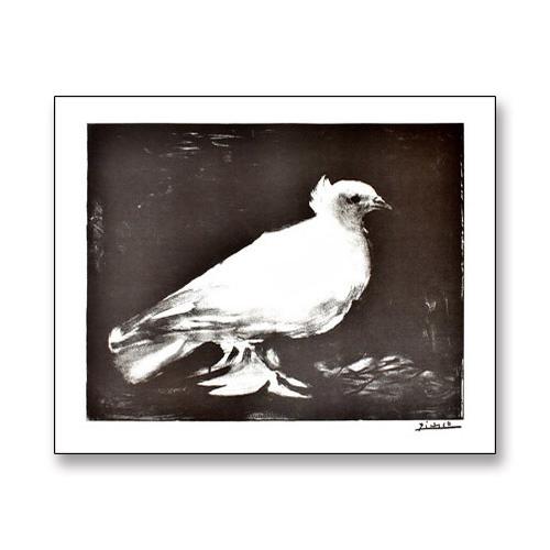 鳩 1949（パブロ ピカソ） 額装品 ウッドハイグレードフレーム : az