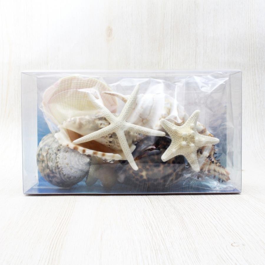 貝殻詰め合わせセット（ケース付き）貝殻 約450g パーツ ハンドメイド