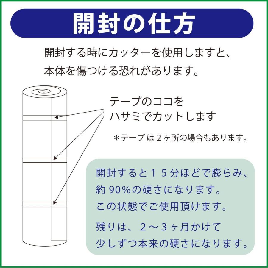 magniflex（マニフレックス） マットレス 高反発 セミダブルサイズ NEW