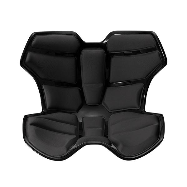 Style（スタイル） 座椅子 椅子 アスリートツー Style Athlete II 猫背