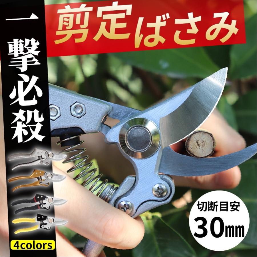 剪定 ばさみ 剪定バサミ 剪定鋏 園芸 枝切りバサミ 太い枝