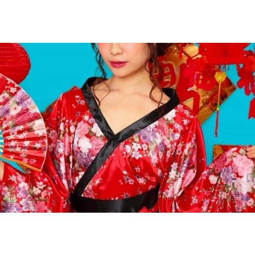 1点までメール便も可能) トキメキグラフィティ 花魁ガール /花魁 衣装