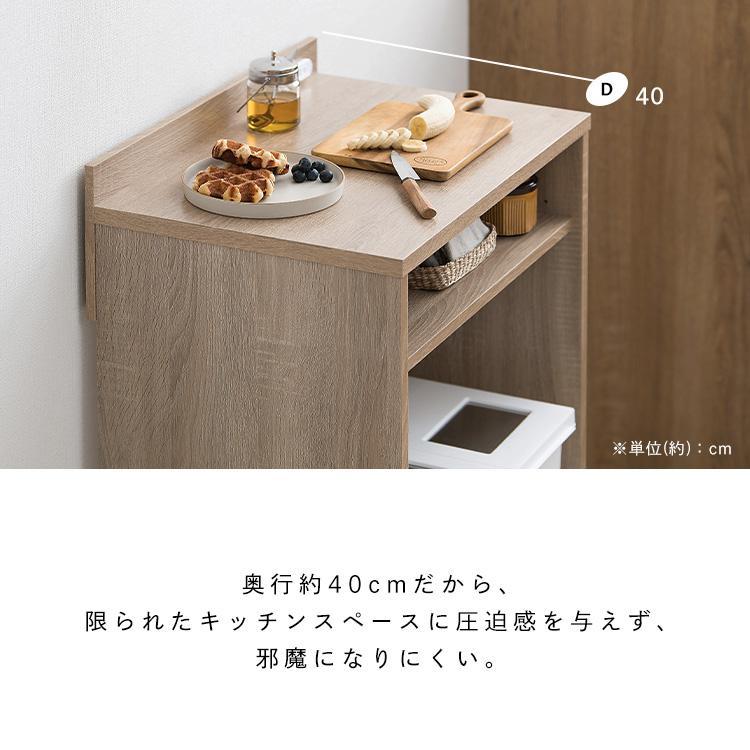 IRIS OHYAMA（アイリスオーヤマ） ゴミ箱ラック 収納 ラック キッチン