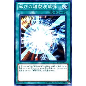 遊戯王オフィシャルカードゲーム デュエルモンスターズ 遊戯王カード