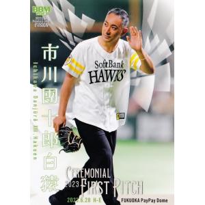 FP41 【蟹沢萌子/≠ME】2023BBM FUSION レギュラー [始球式カード