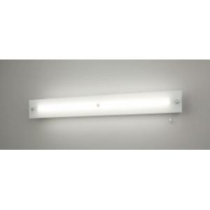 Panasonic（パナソニック） 受注品 NWFF21669 LE9 LDL20 防湿防雨型