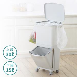 東谷 ゴミ箱 45リットル 45L おしゃれ スリム キャスター スリム