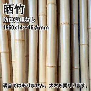 青竹】笠用の竹(半割のみ) 直径6〜7cm×長さ180cm : 越川竹材工業