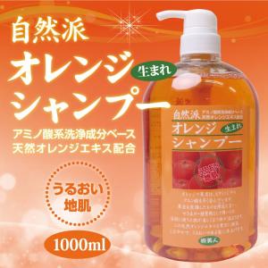 MILBON（ミルボン） ディーセス ノイ ドゥーエ ウィローリュクス