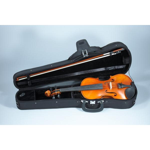 Eastman イーストマン バイオリン VL100 1/2セット : 大谷楽器 - 通販