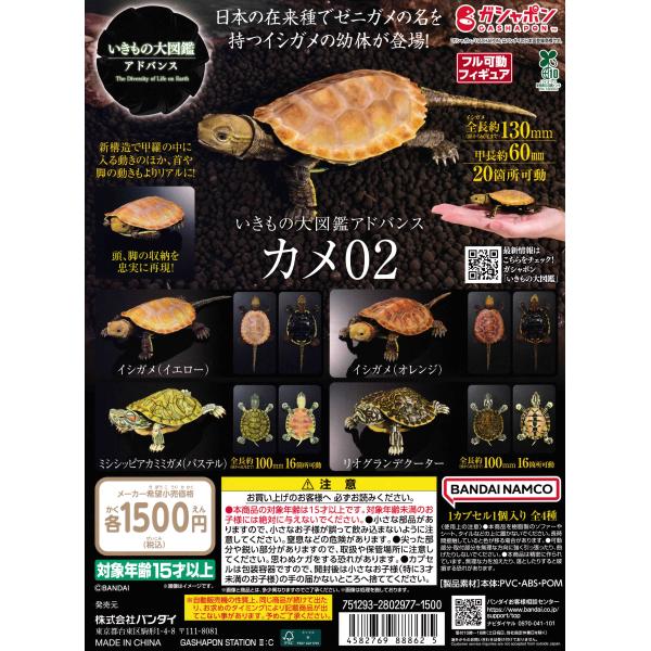 いきもの大図鑑アドバンス カメ02 [全4種セット フルコンプ
