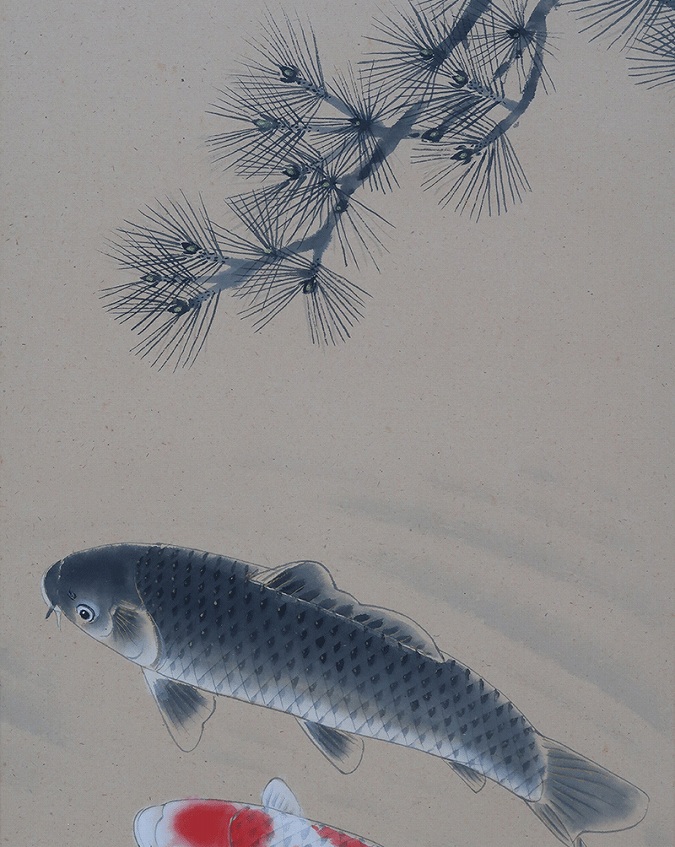森島清泰 游鯉 | 掛軸(掛け軸)販売／表装ご依頼は掛軸いっぷく掛軸