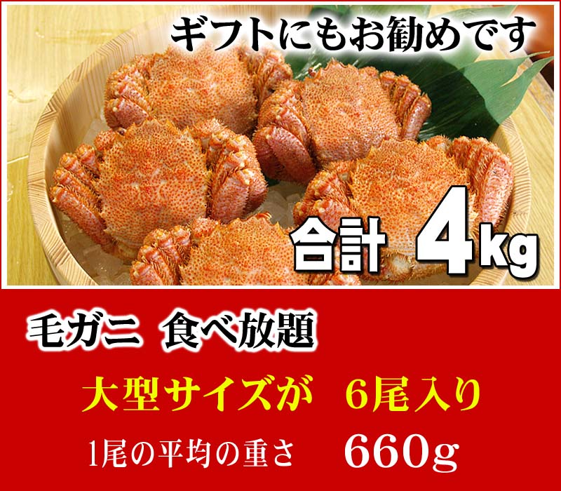 合計4kg分の大型の毛ガニ 北海道産 毛蟹 食べ放題