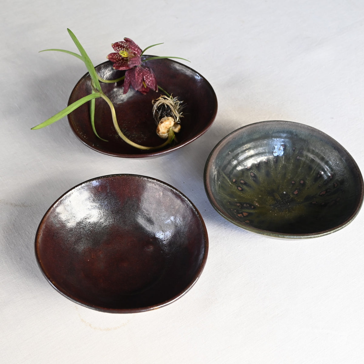 黒鉢(1012)府川和泉 – KOHORO