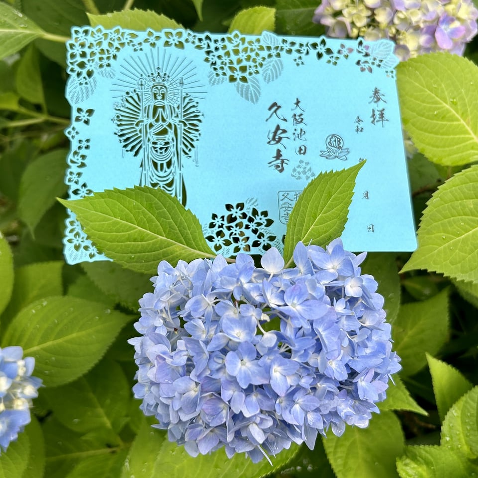 紫陽花、境内全体で3分咲き。／久安寺公式サイト