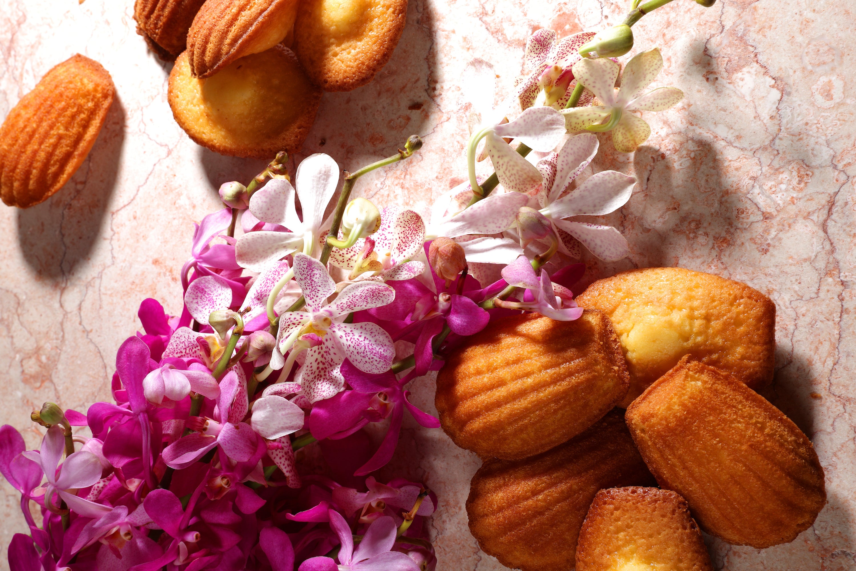 パティスリー レザネフォール | 恵比寿・中野のフランス菓子専門店