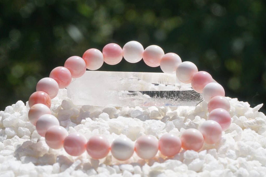 クイーンコンクシェル ブレスレット【希少】 - リアファル