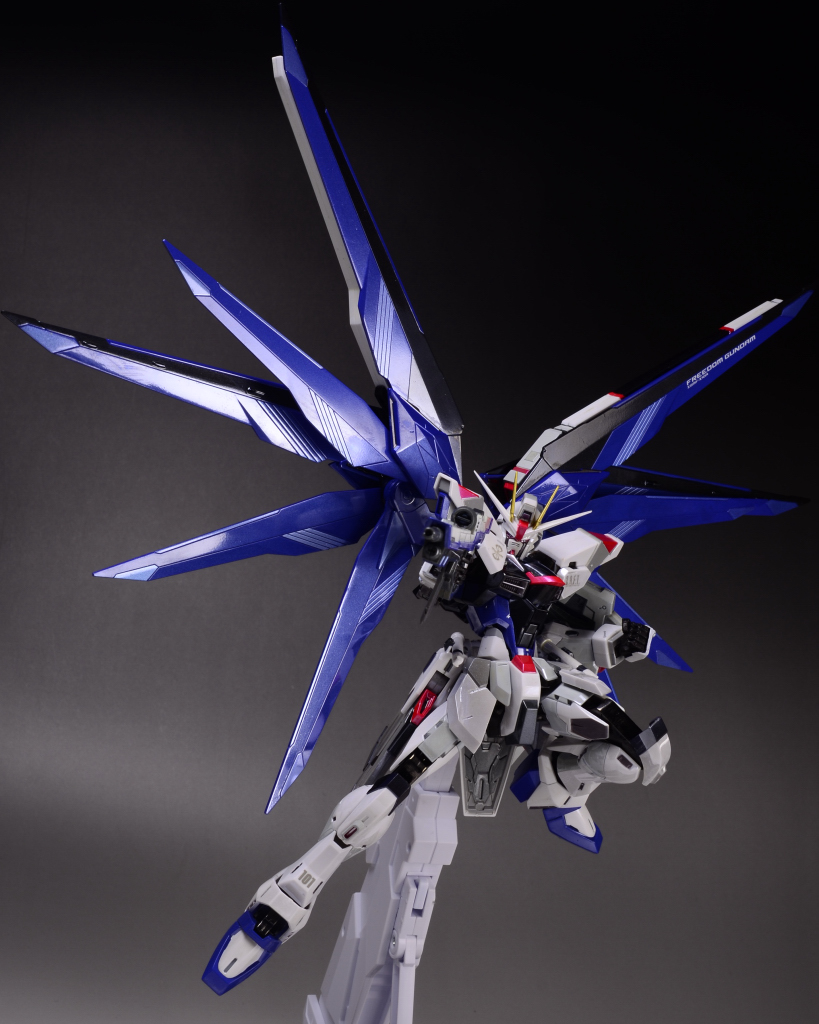 TAMASHII NATION 2012 開催記念商品 METALBUILD フリーダムガンダム