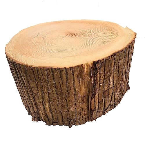 Amazon.co.jp: 川島材木店 杉切り株 高さ約25cm 直径約35cm 皮つき