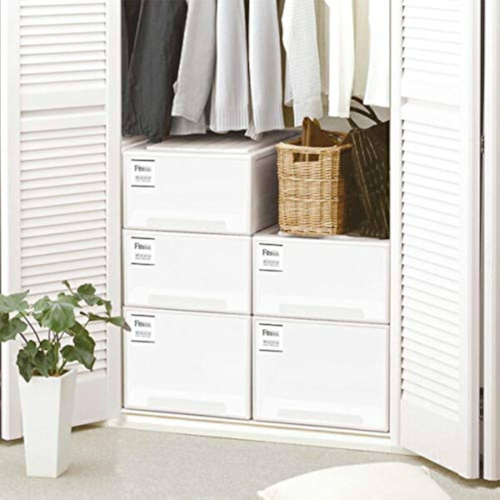 Amazon｜【まとめ買い4個セット】天馬 収納ケース Fits フィッツケース