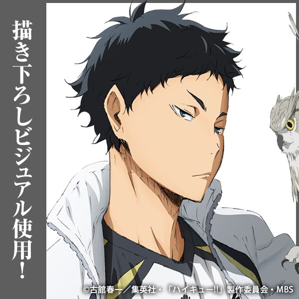 Amazon.co.jp: 【公式】コスパ ハイキュー!! 赤葦京治 缶バッジ Ver