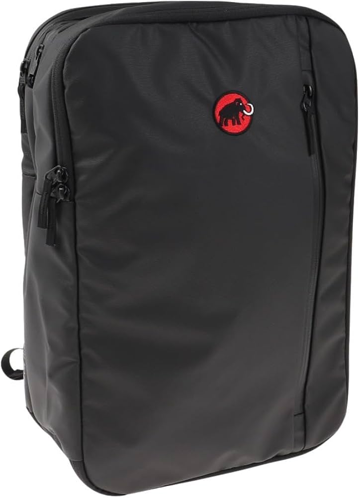 Amazon.co.jp: セオントランスポーター 25 クラシック / Seon