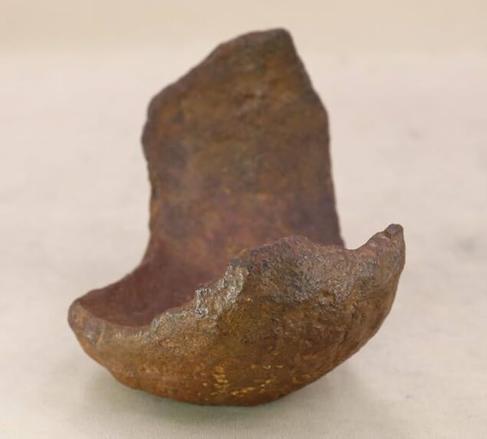 Amazon | 【盆栽鉢】 本鞍馬石 舟形鉢（左右13cm） いよじ園 | 鉢