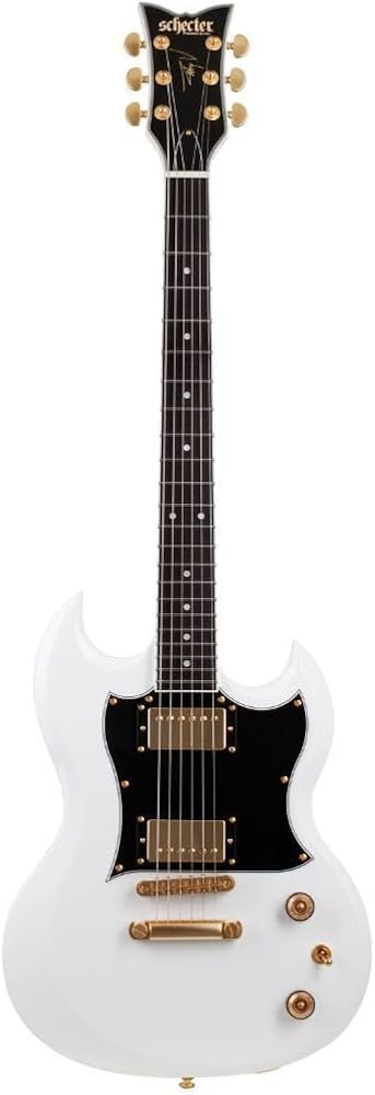 Amazon.com: Schecter ZV-H6LLYW66D Zacky Vengeance Signature