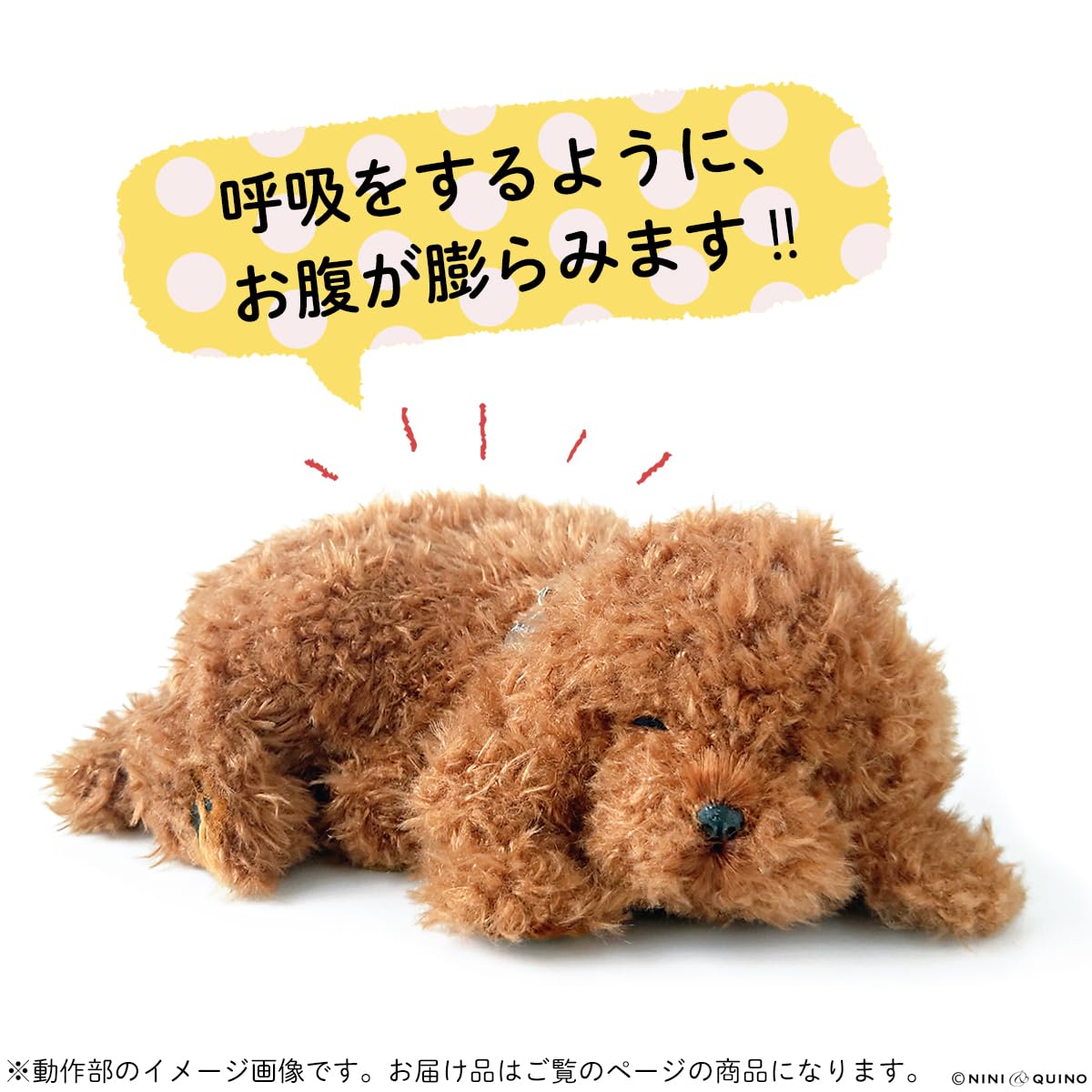 Amazon.co.jp: ニニアンドキノ パーフェクトペット (小サイズ) トイ