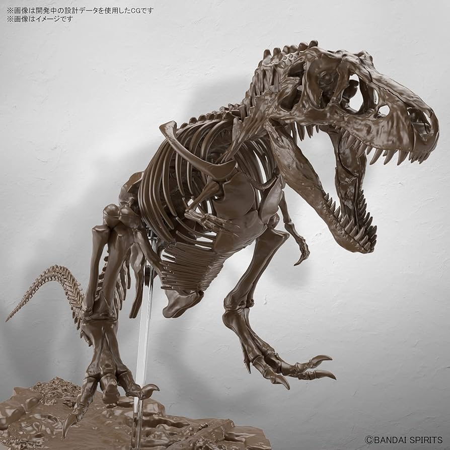 木彫Tyrannosaurus rex 1/10全身骨格模型 約97cm