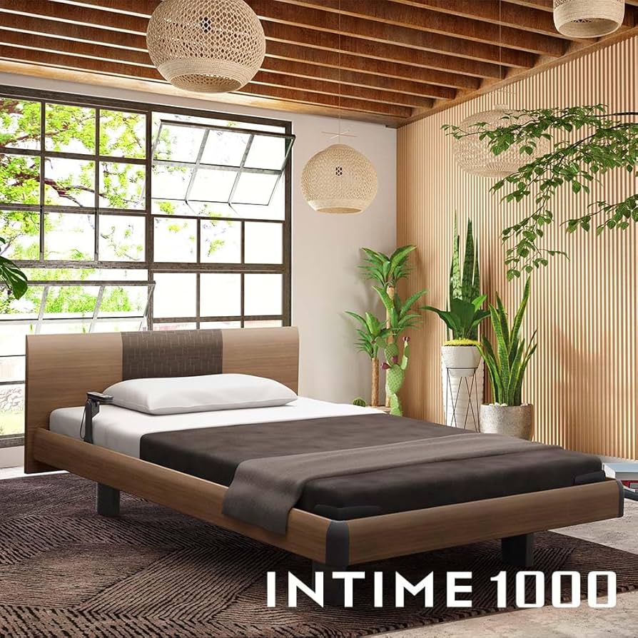 Amazon.co.jp: パラマウントベッド 電動ベッド INTIME 1000 インタイム