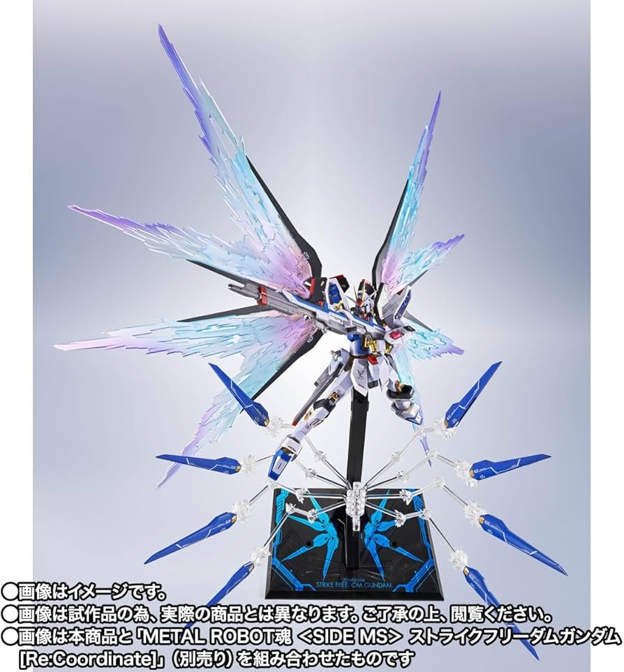 Amazon | METAL ROBOT魂 ＜SIDE MS＞ ストライクフリーダム ガ ン ダ