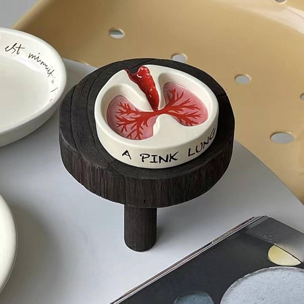 Hisayo】※プレゼントset肺皿 Hisayo】※プレゼントset肺皿 Hisayo