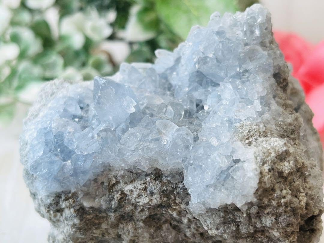 Amazon.co.jp: 天使の石セレスタイト 天青石 原石 ラフストーン 大 R