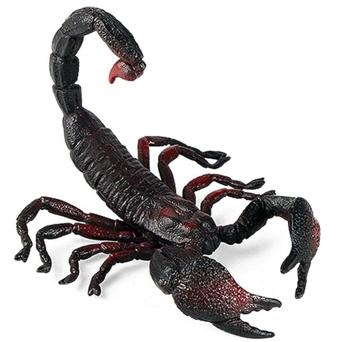 Amazon.co.jp: サソリの模型を模したリアルなプラスチックサソリ道具