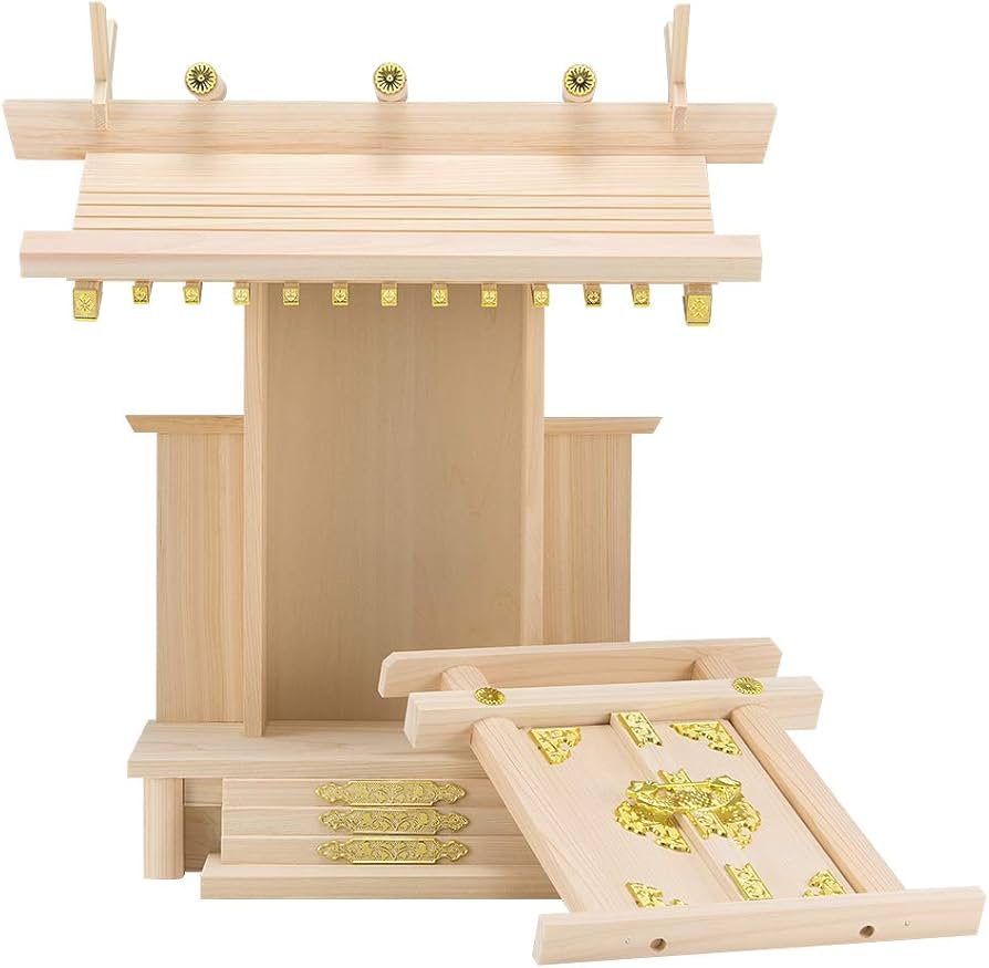 61Ik9U+Ez2L._AC_UF894,