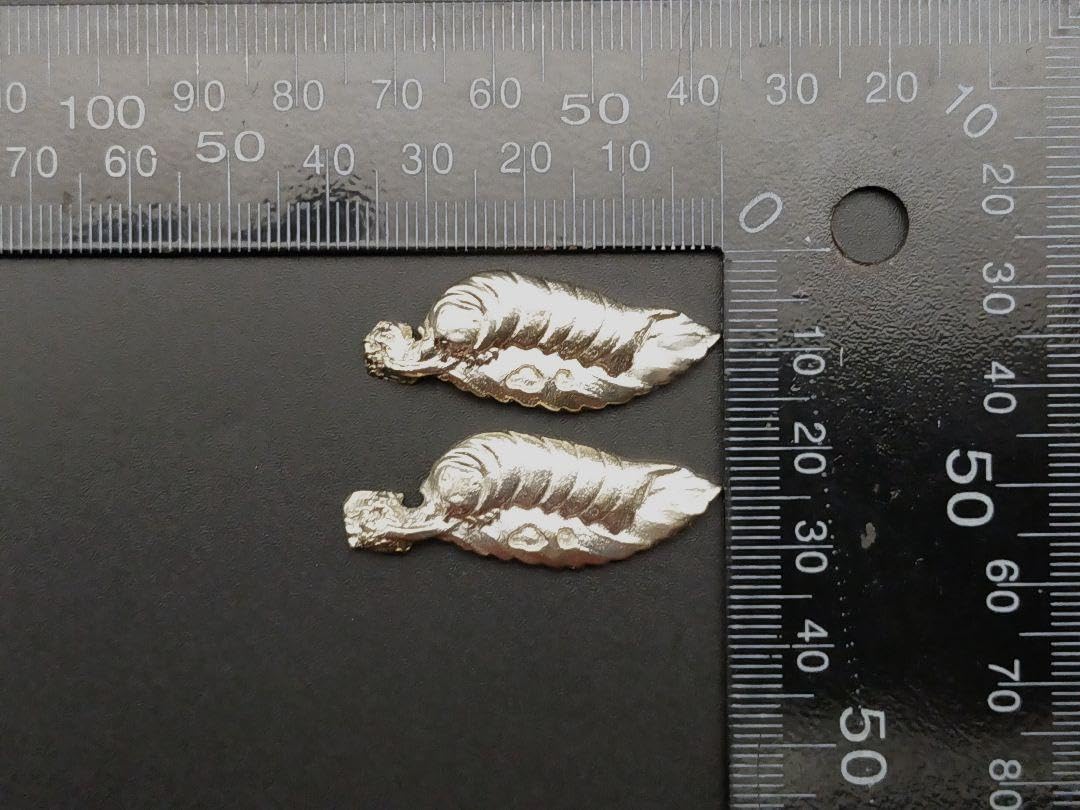 Amazon.co.jp: AFM08 目貫 蚕の図 銅製 現代作 日本刀装具 : ホーム