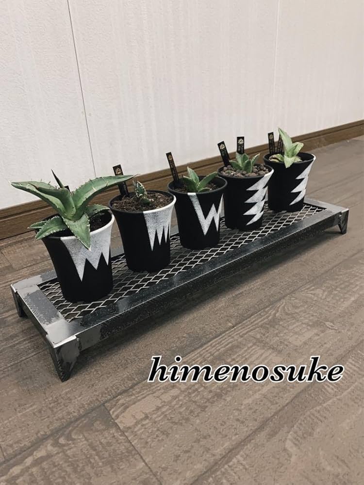 Amazon.co.jp: 込み無骨ラック 男前 プランターラック 多肉植物 アガベ