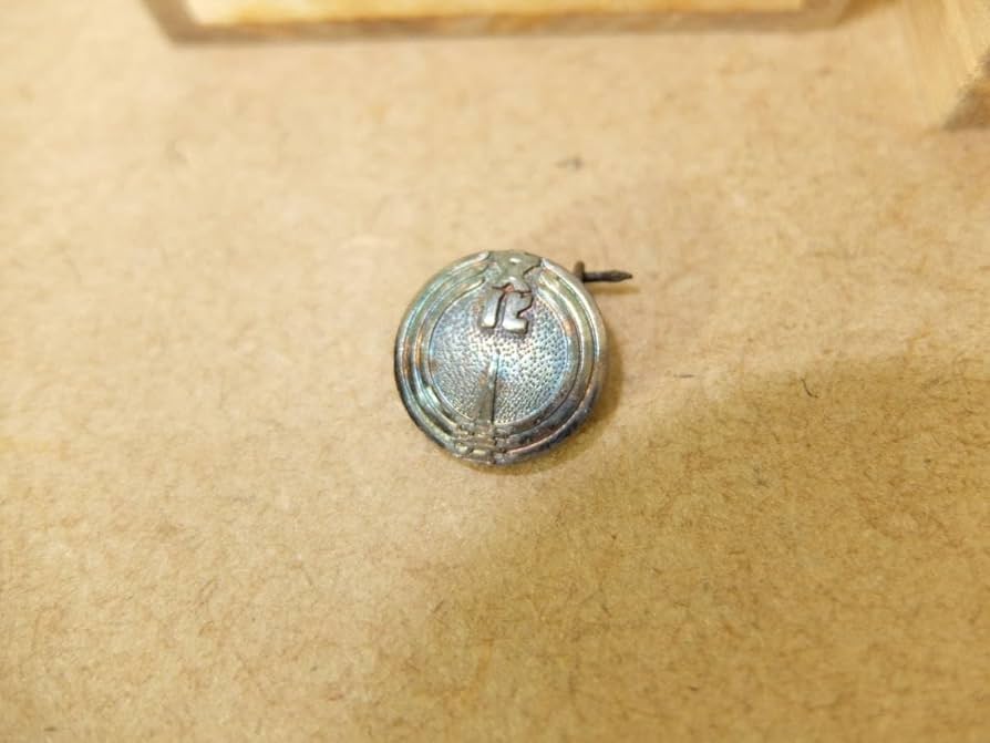 Amazon | 創価学会 文化局 文化局員章ピンバッジ 芸術部 桐箱付き