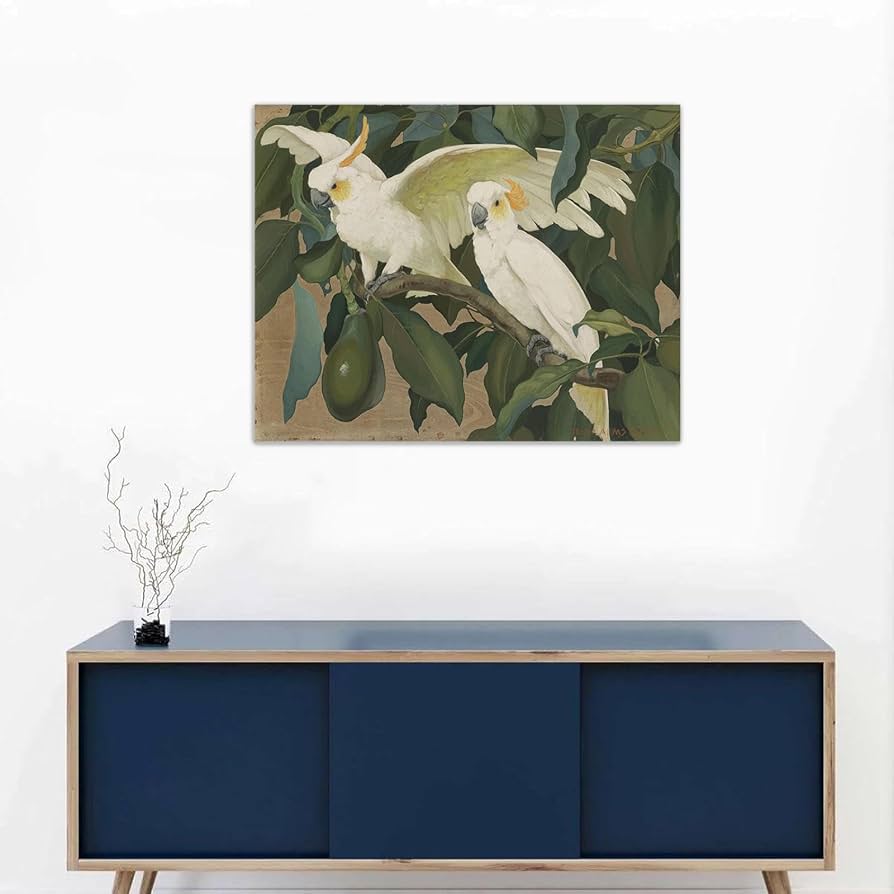 Amazon.com: Animal Painting on Canvas wall art - 'White Cockatoos