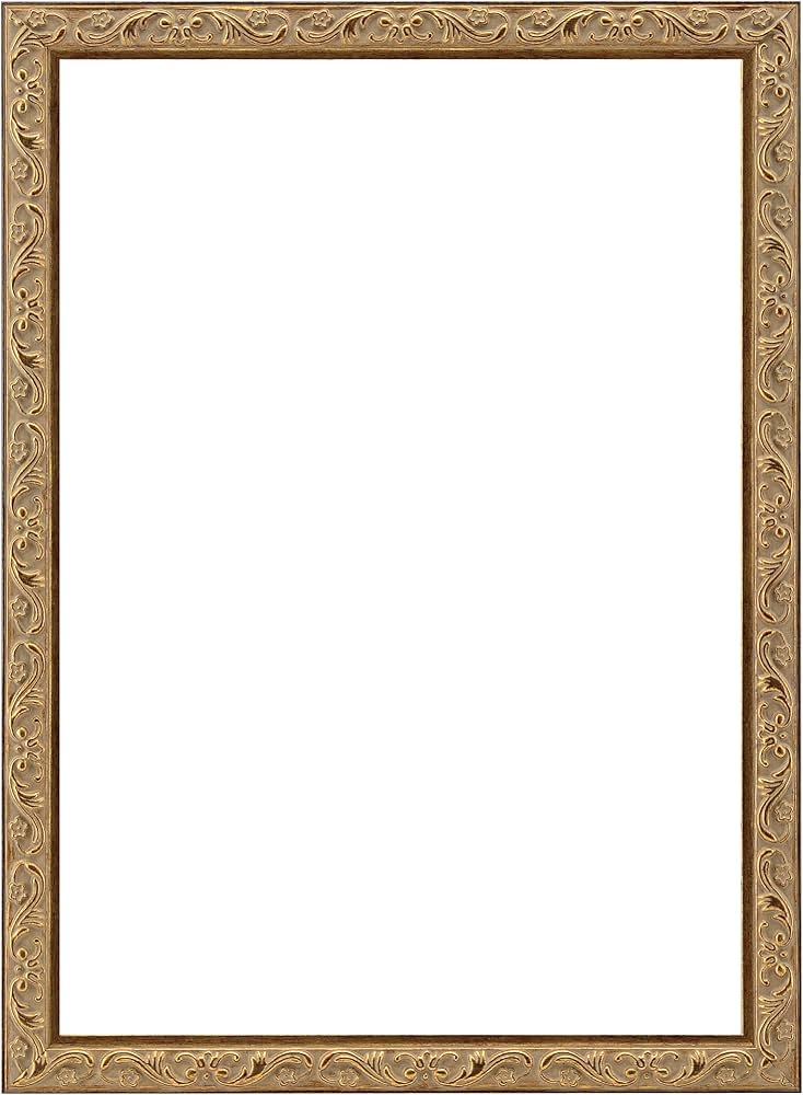 Amazon.co.jp: 大額(Daigaku) ヴィンテージ 額縁 UVカットアクリル