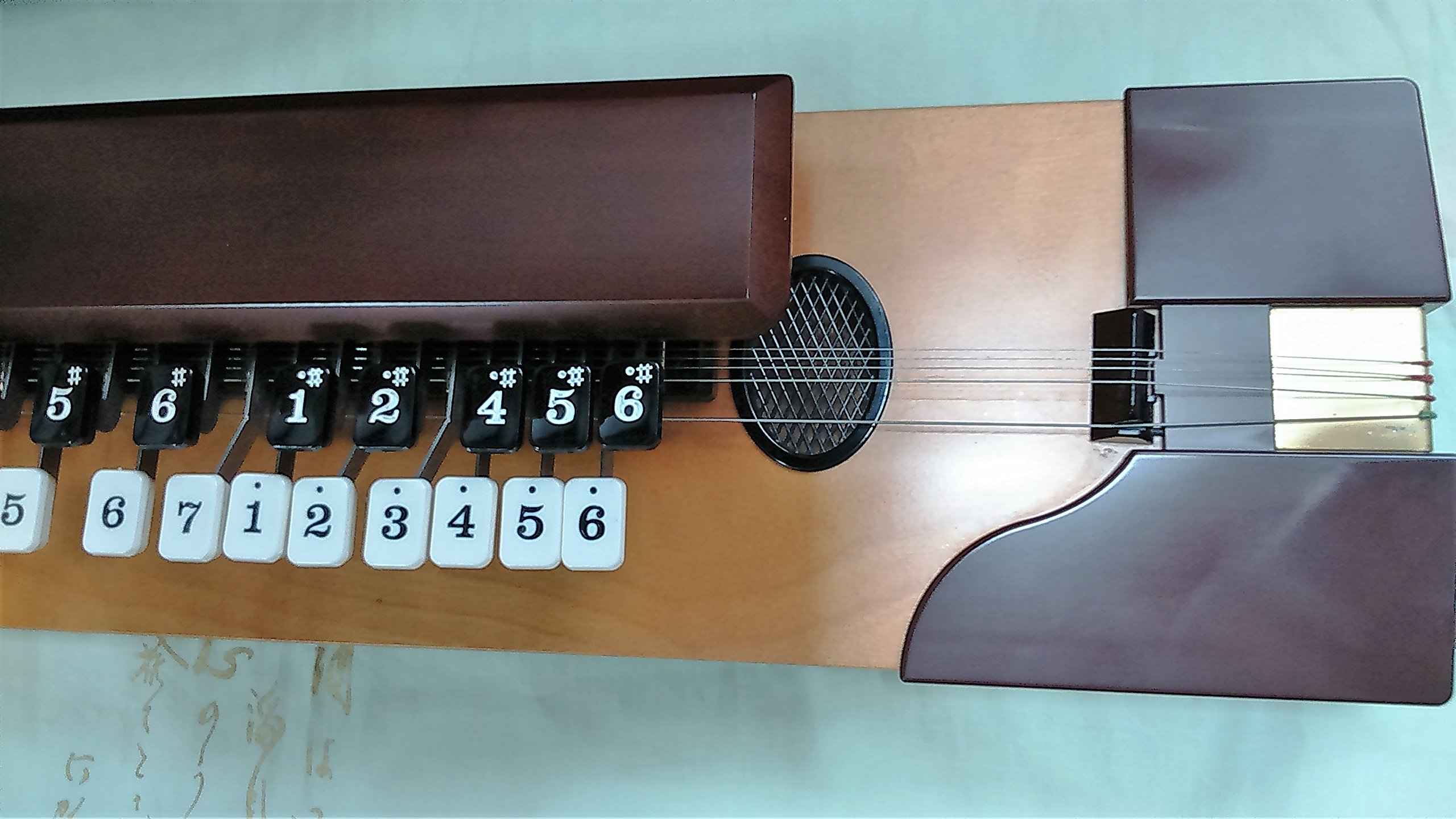 Amazon | SUZUKI 紅葉/もみじ 電気大正琴 | 大正琴 | 楽器・音響機器