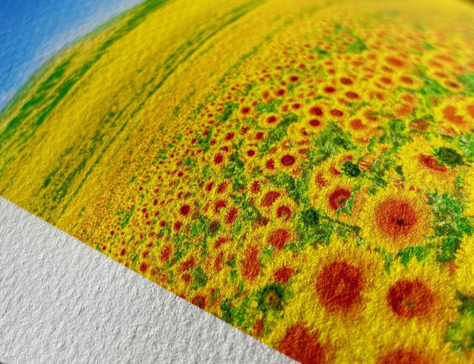 Amazon.co.jp: 版画 絵画 名画 日本画 西伊豆木負 川瀬巴水 インテリア