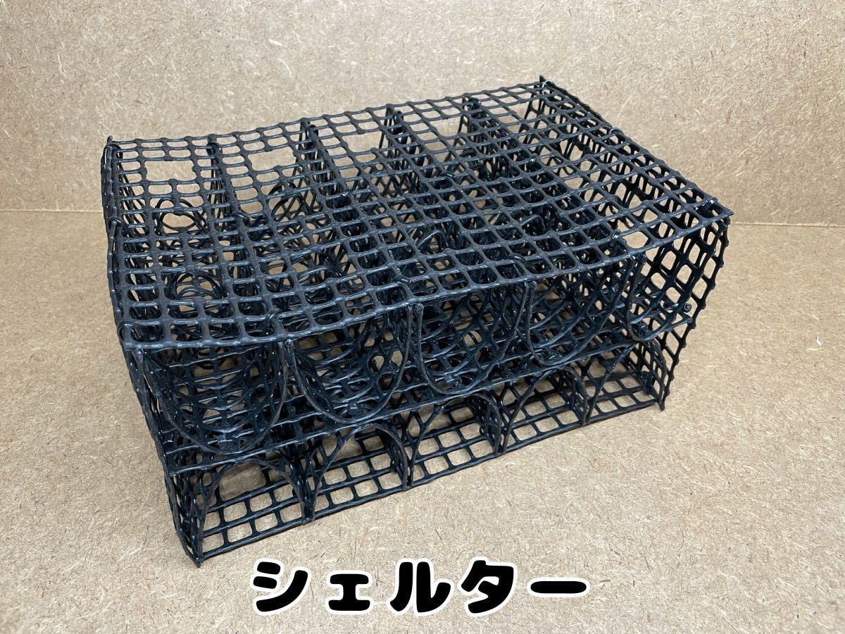 Amazon.co.jp: デュビア、レッドローチ、コオロギ飼育ケージ【掃除