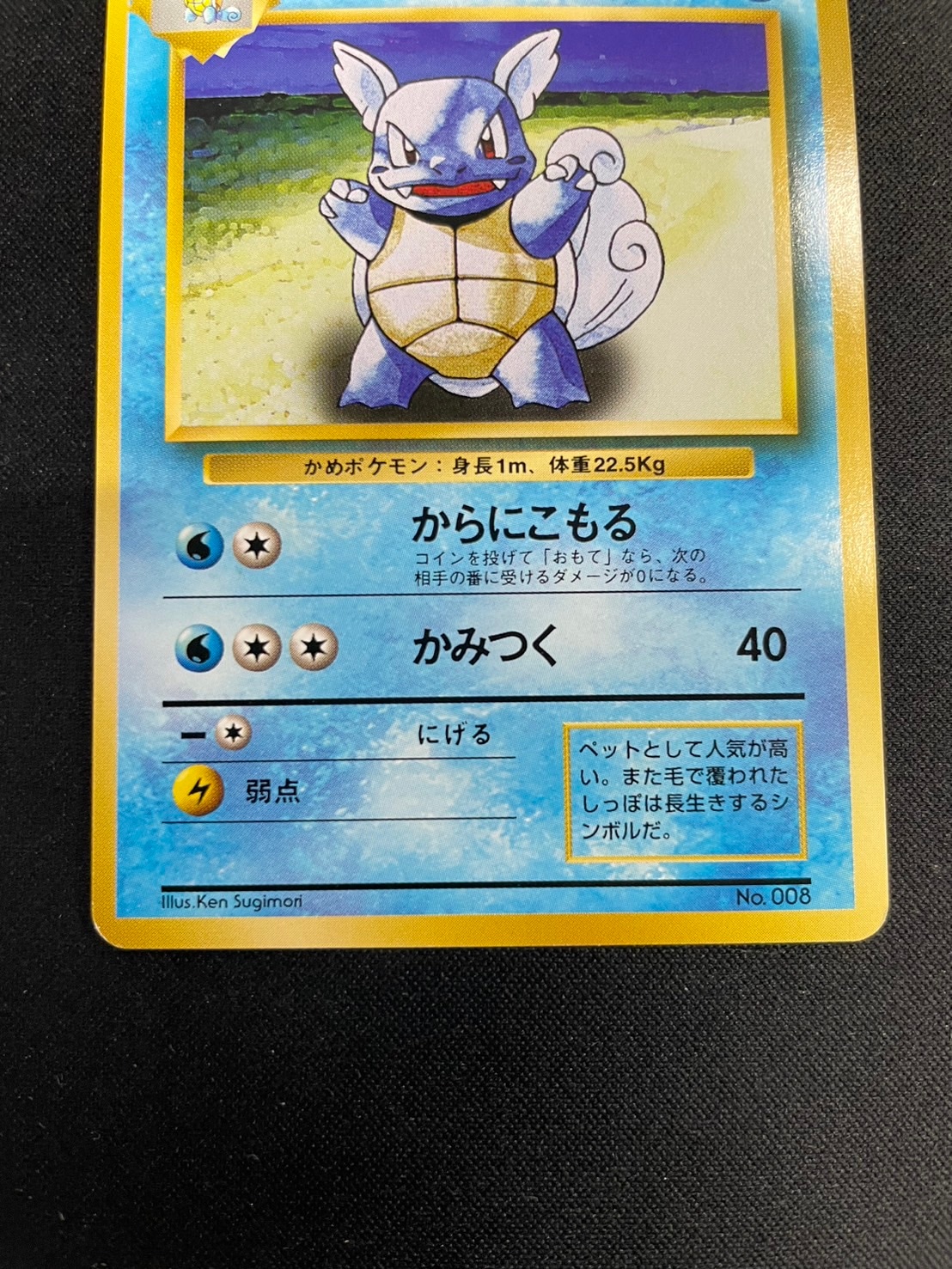 旧裏】【初版】カメールLV.22【状態B】