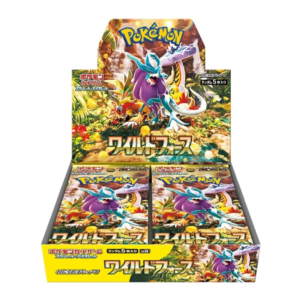 ポ*！様 ポケモンカード 引退品 ポケモン引退セット ポケカ 引退品