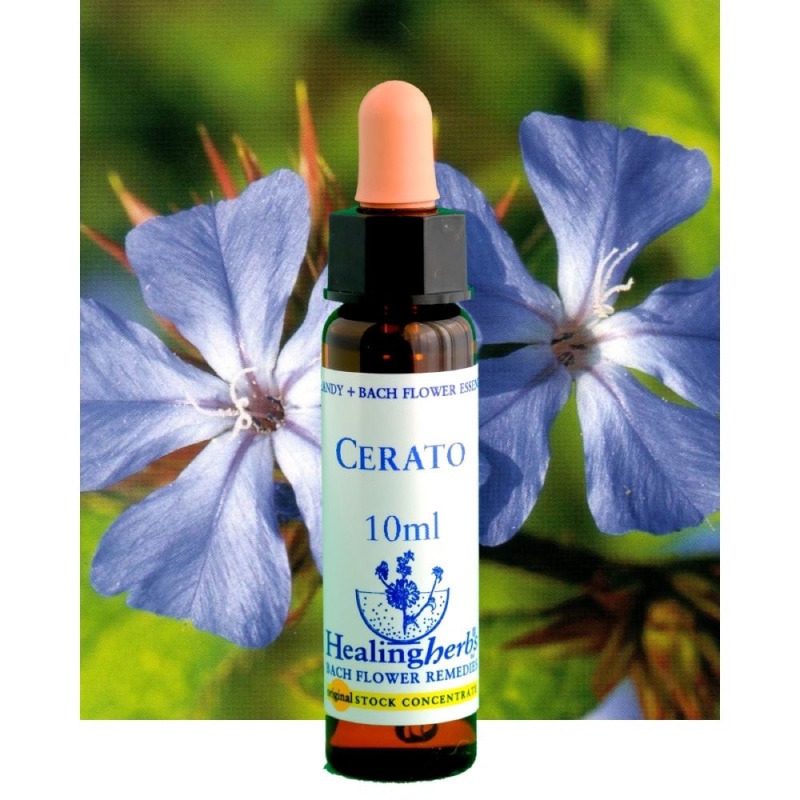 フラワーエッセンス 07 スクレランサス [ヒーリングハーブス] | カリス