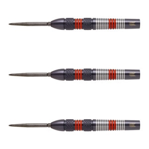 TARGET RVB G4 レイモンドヴァンバーナベルド 定価17000円 TARGET RVB