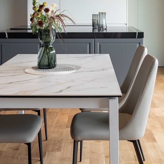 songdream】【ホワイトセラミック天板】GENOVA(ジェノバ