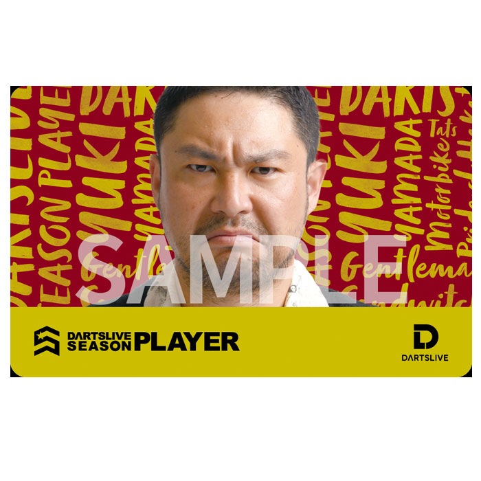 ダーツライブ プレイヤー グッズ 第二弾 江口 梨世美 DARTSLIVE PLAYER